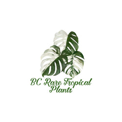 BC Rare Tropical Plants 
